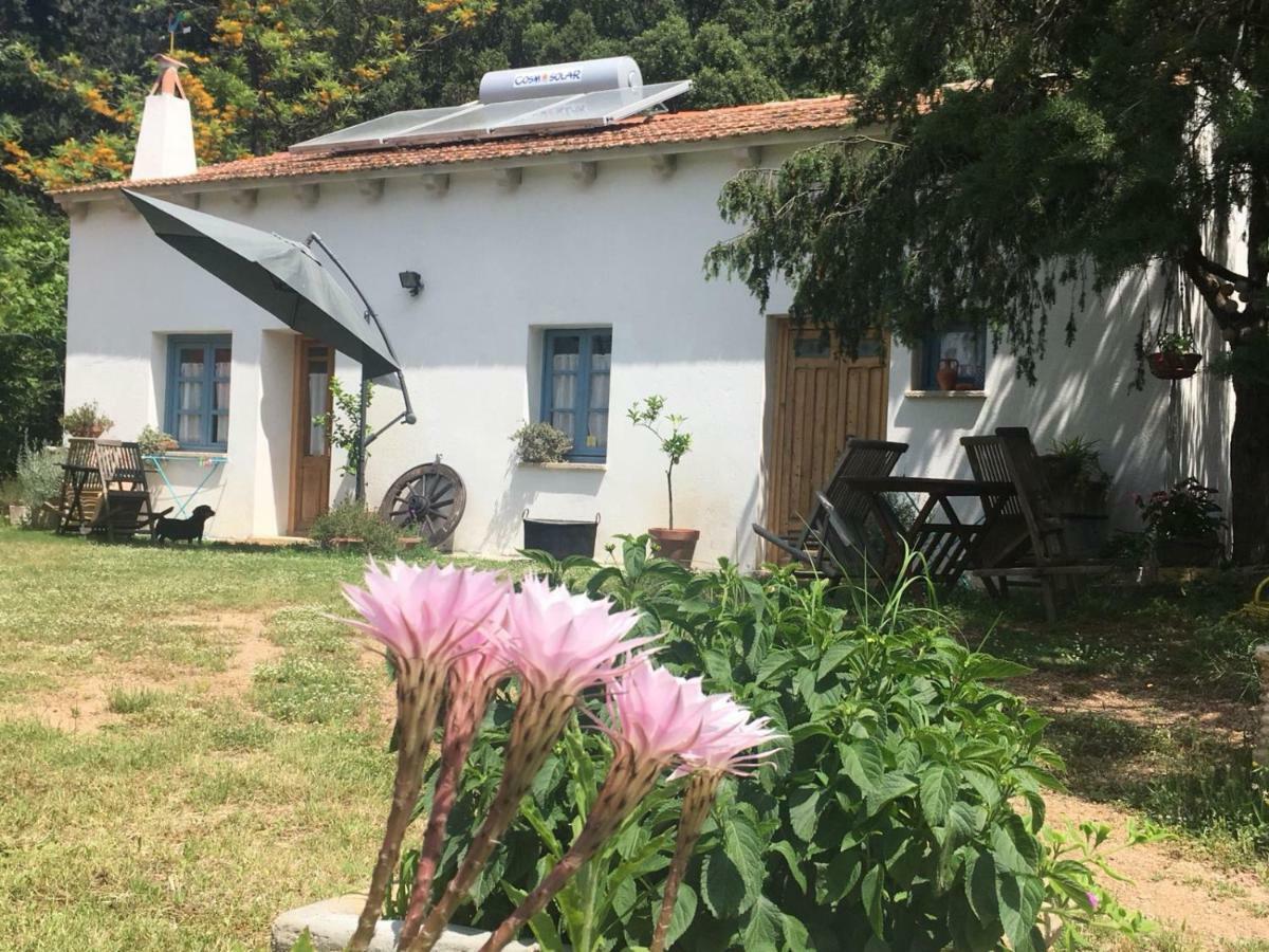 Agriturismo La Casa Delle Fate Loiri Porto San Paolo Exterior foto